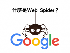 what is Google web spider crawler