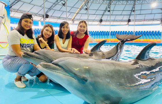 泰國自由行 尼莫海豚館